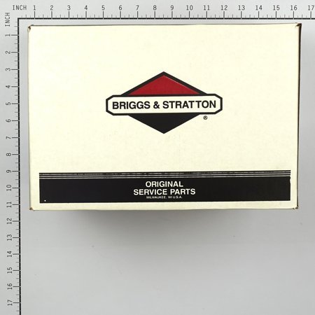 Briggs & Stratton Pressure Washer Pump 311966GS